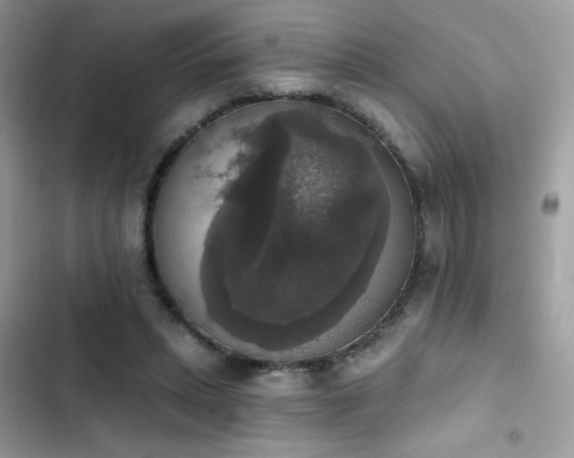 X0000103950447200809191444