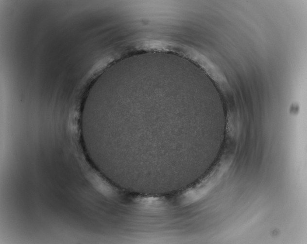 X0000103950449200809191444