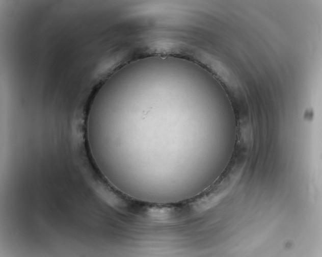 X0000103950450200809191445