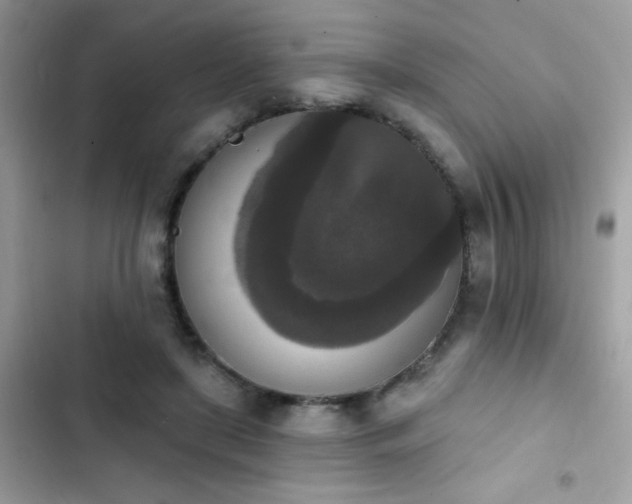 X0000103950451200809191445