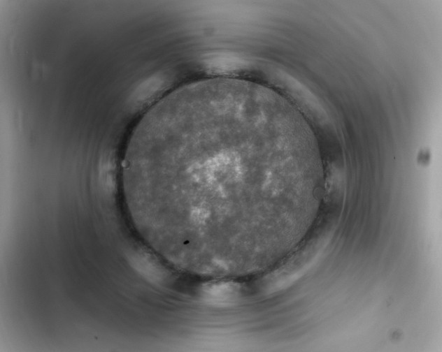 X0000103950452200809191445