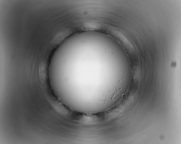 X0000103950455200809191445