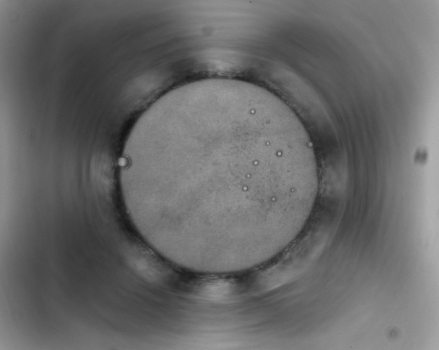 X0000103950456200809191445