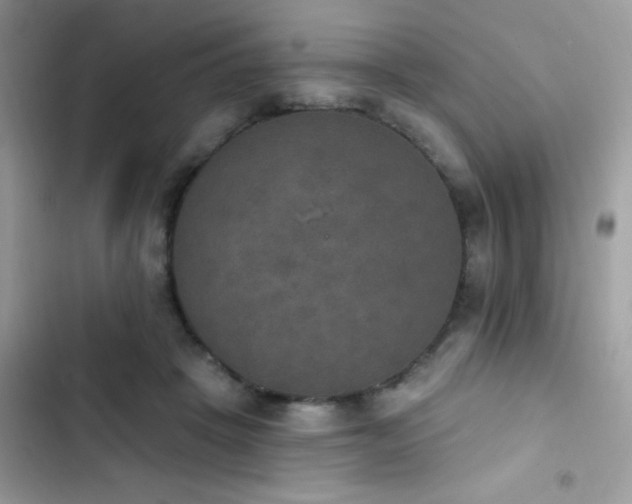 X0000103950457200809191445