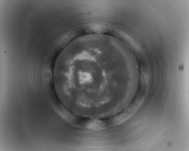 X0000103950459200809191445