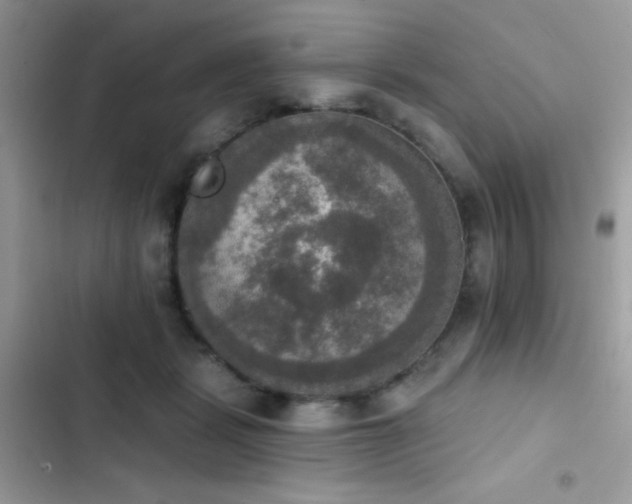 X0000103950461200809191445
