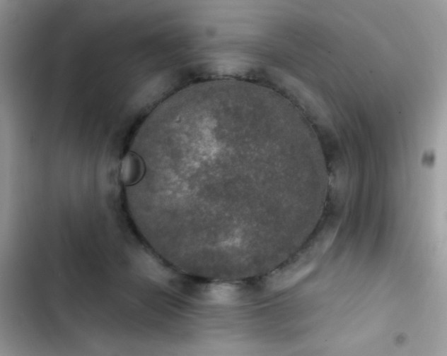 X0000103950462200809191445