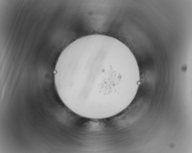 X0000103950464200809191445