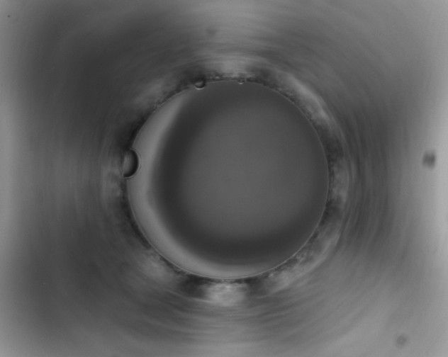 X0000103950465200809191445