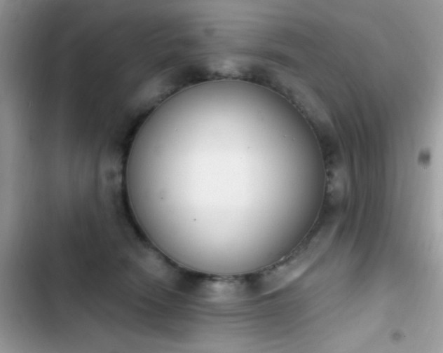 X0000103950466200809191445