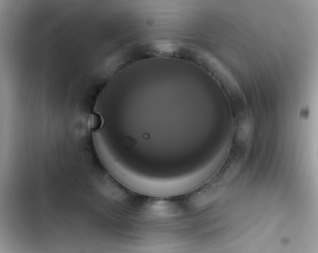 X0000103950467200809191445