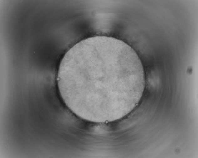 X0000103950468200809191445