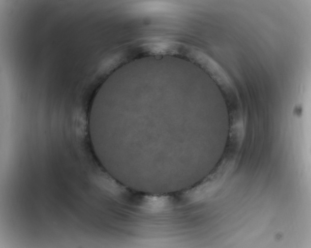 X0000103950469200809191445
