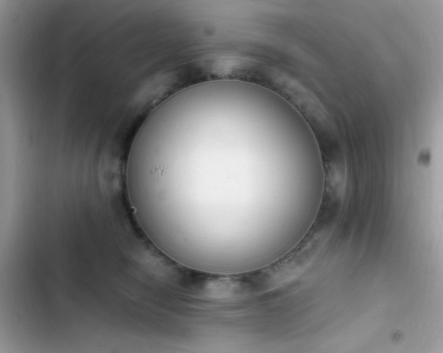 X0000103950470200809191445