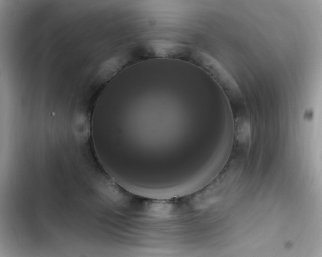 X0000103950471200809191445