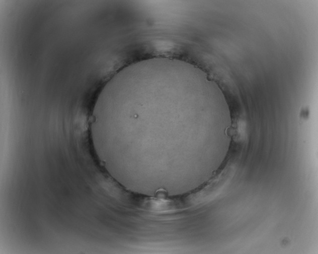 X0000103950472200809191445