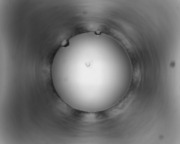 X0000103950473200809191445