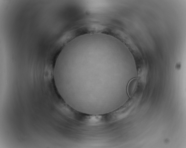 X0000103950474200809191445