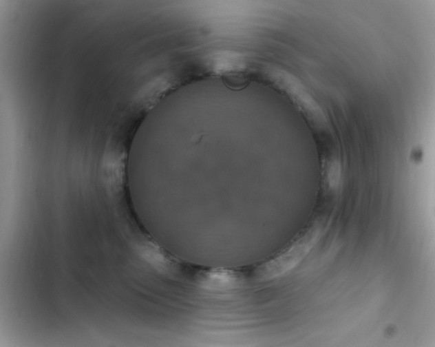X0000103950475200809191445