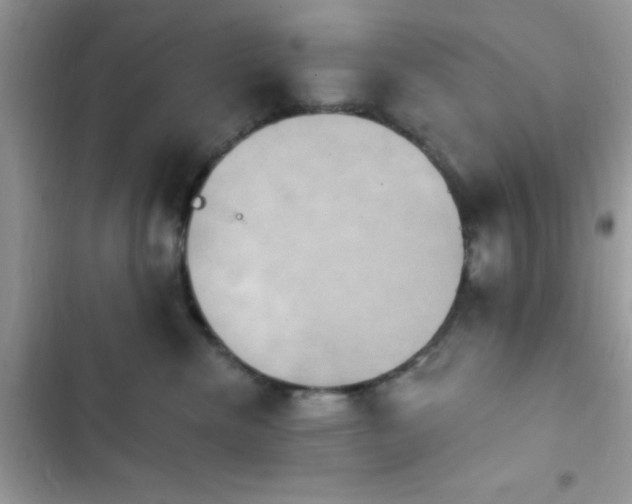 X0000103950476200809191445