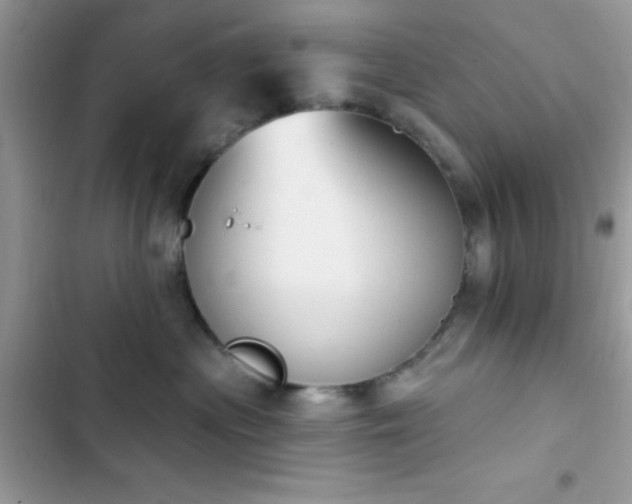X0000103950477200809191445