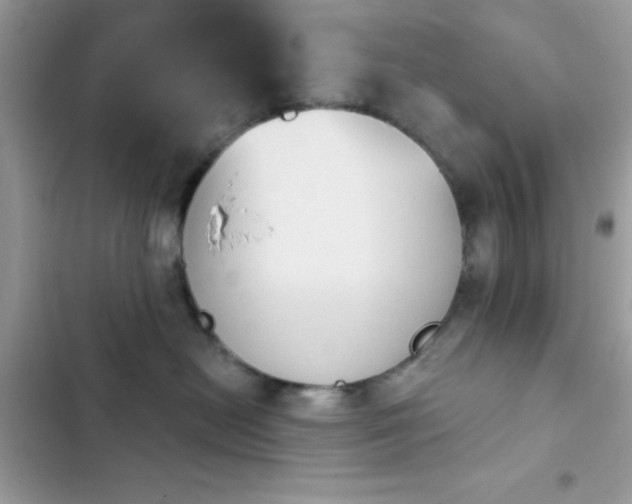 X0000103950478200809191445