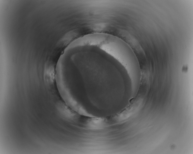 X0000103950479200809191445