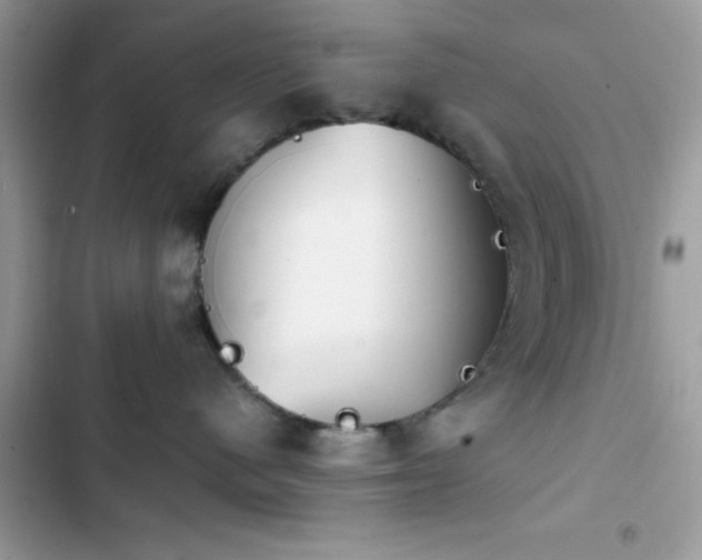 X0000103950480200809191445