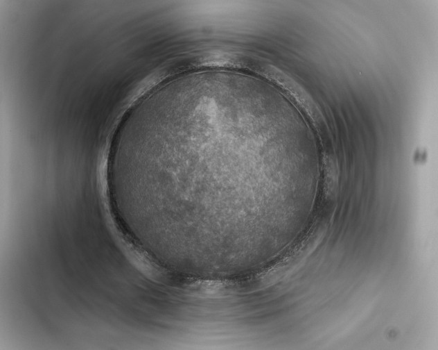 X0000103950482200809191444