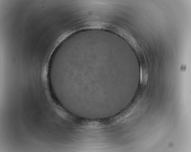 X0000103950483200809191444