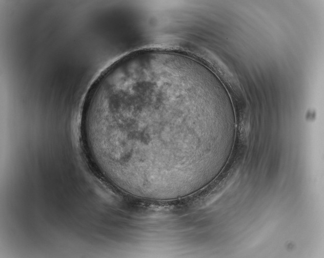 X0000103950484200809191444