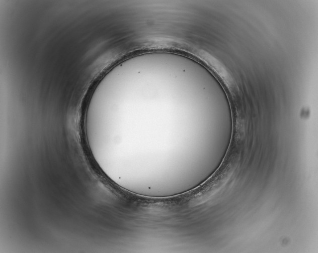 X0000103950485200809191444