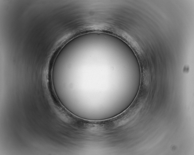 X0000103950486200809191444