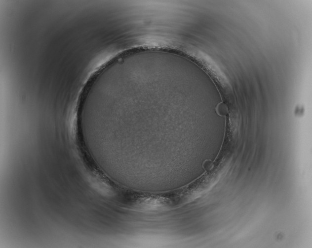 X0000103950488200809191444