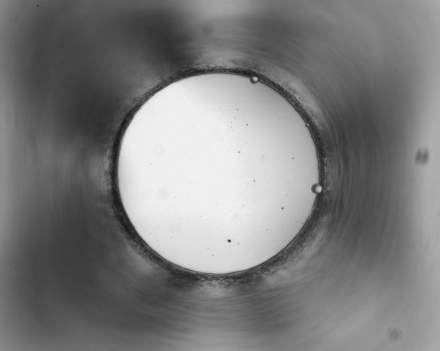 X0000103950489200809191444