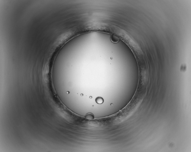 X0000103950490200809191444