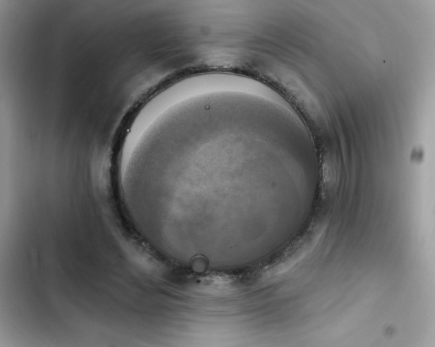 X0000103950492200809191444
