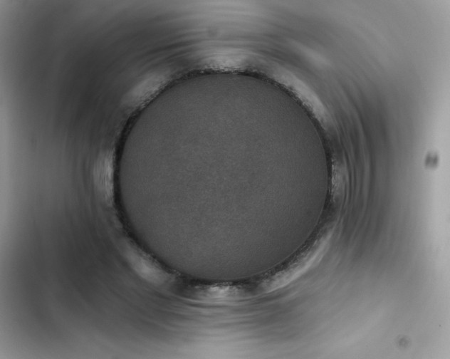 X0000103950493200809191444