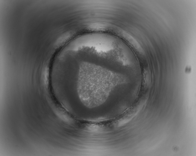 X0000103950494200809191444