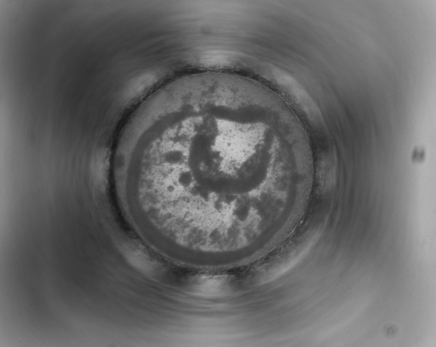 X0000103950495200809191444