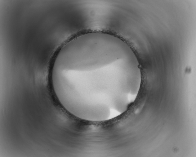 X0000103950496200809191444
