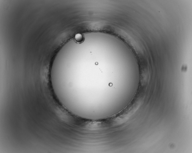X0000103950497200809191444