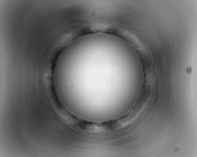 X0000103950498200809191444