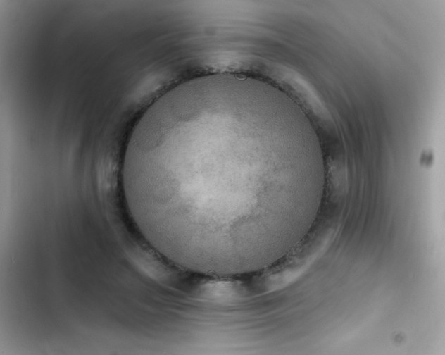 X0000103950499200809191444