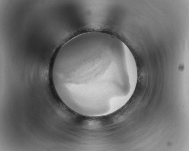 X0000103950500200809191444