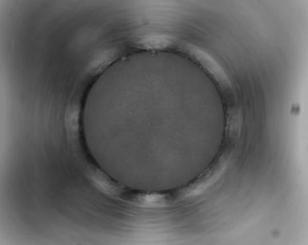 X0000103950501200809191444