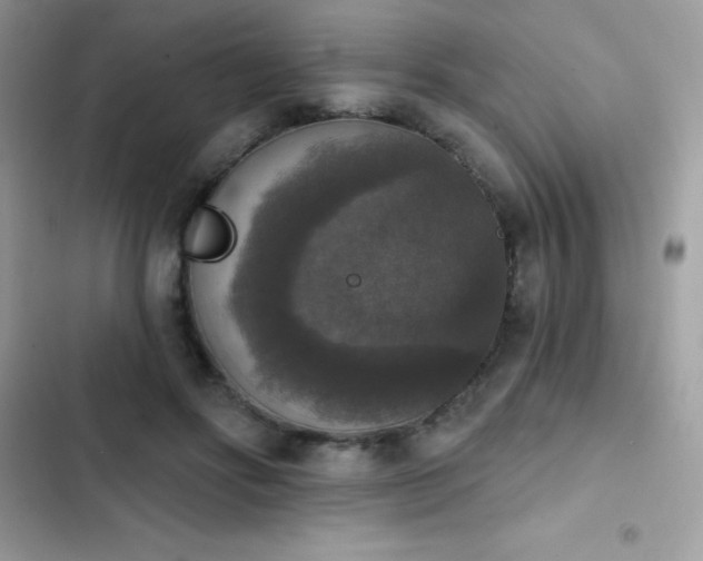 X0000103950502200809191444