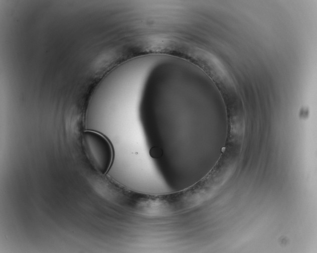 X0000103950503200809191444
