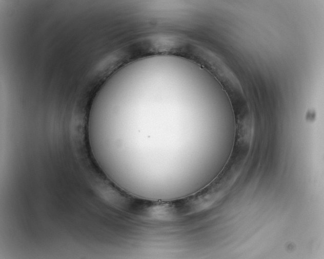 X0000103950505200809191444