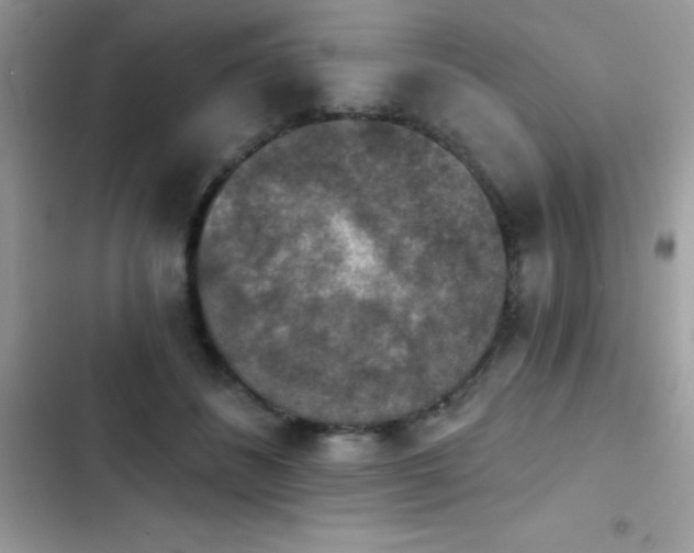 X0000103950508200809191444